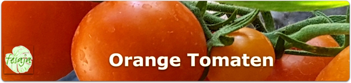 Orange Tomaten, Samen